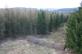 img-6949.jpg