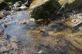 img-6981.jpg