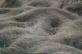 img-6989.jpg
