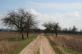img-6994.jpg