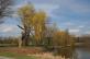 img-7005.jpg