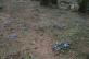 img-7038.jpg