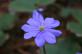 img-7040.jpg