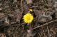 img-7077.jpg