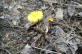 img-7080.jpg