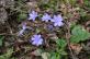 img-7087.jpg