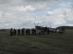 img-1873.jpg