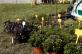 img-3427.jpg
