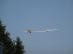 dsc08651.jpg