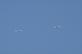 dsc08664.jpg