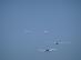 dsc08700.jpg