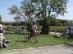 dsc02288.jpg