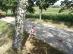 dsc02450.jpg