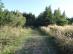 dsc01923.jpg