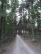 dsc01931.jpg