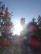 dsc01937.jpg