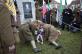 -mg-3685.jpg