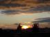 dsc01454.jpg