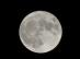 dsc00171.jpg