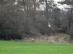 dsc01975.jpg