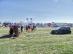 dsc05442.jpg
