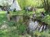 dsc01511.jpg