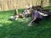 dsc01517.jpg