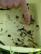 dsc01538.jpg