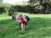 dsc01578.jpg