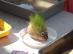 dsc01583.jpg