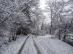 dsc08404.jpg