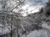 dsc08410.jpg