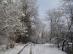 dsc08411.jpg