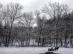dsc08415.jpg