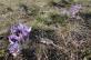 dsc09016.jpg