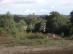 dsc06406.jpg