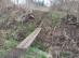 img-20210429-183251.jpg