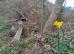 img-20210429-183347.jpg