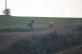 img-8136.jpg