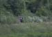 img-2146.jpg