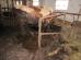 339412603-199033879503376-1573779596353684353-n.jpg