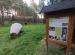 img-20230817-155537.jpg