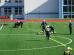 dsc00855.jpg