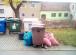 img-20231108-101709.jpg
