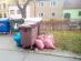 img-20231108-101717.jpg