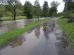 dsc08711.jpg