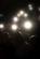 dsc07224.jpg