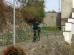 dsc09403.jpg