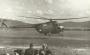 md-15183744646.jpg