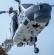 sea-lynx-mk88a-013.jpg